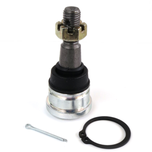 Traggelenk verstärkt Polaris diverse