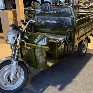 Eborn Cargo Cat 2 V2 - 45km/h voll Elektrisch