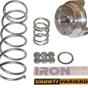 Tuning Kupplungskit Segway Snarler AT10W