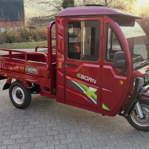 Eborn Cargo Cat 3 V2
