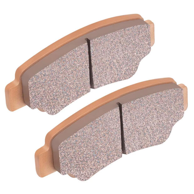 Bremsbelagsatz CF Moto hinten